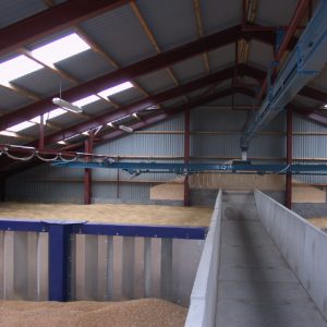 Grain conveyors and augers