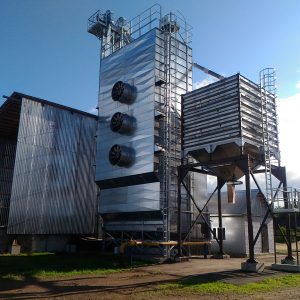 Grain drying